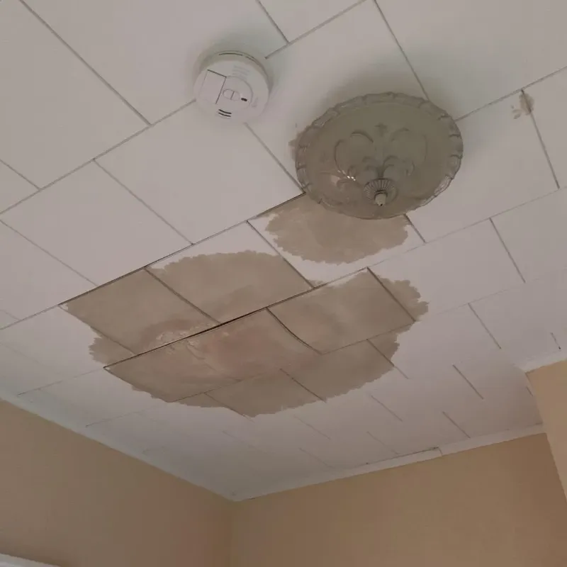 Ceiling Water Damage Repair in Benson County, ND