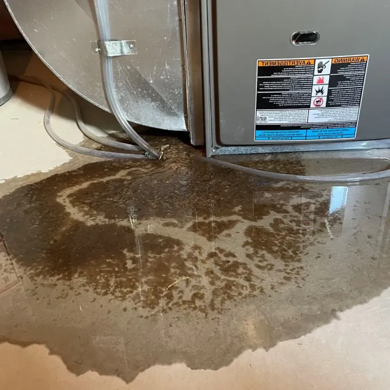 Pipe Burst and Leak Restoration in Benson County, ND