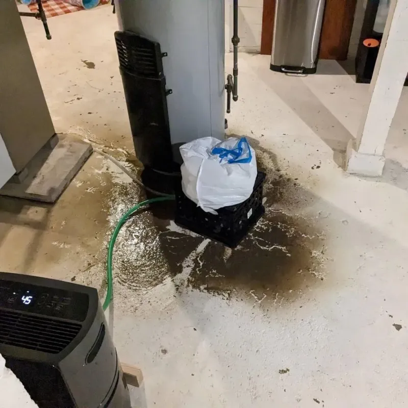 Sewage Backup Cleanup Service in Benson County, ND
